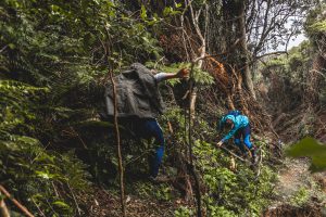 Lees meer over het artikel Ongepland: Hinewai Falls and The Stones via Lisburn Track