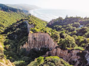 Lees meer over het artikel Gore Bay, Cathedral Gully & Kaikoura