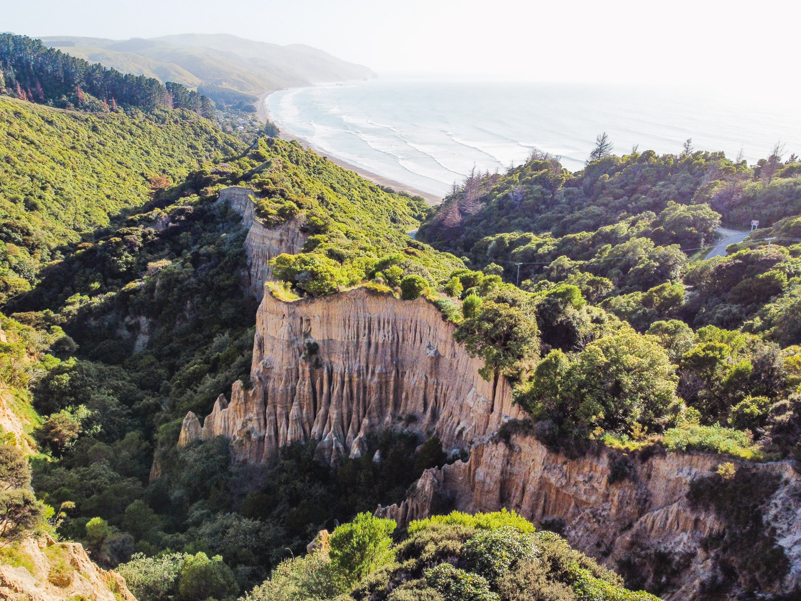 Lees meer over het artikel Gore Bay, Cathedral Gully & Kaikoura
