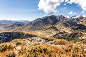 Lees meer over het artikel Mount Somers