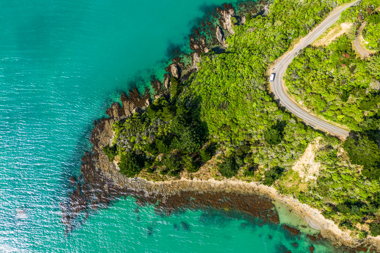 Lees meer over het artikel Roadtrip III: Marlborough Sounds